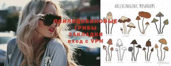 дживик Армянск