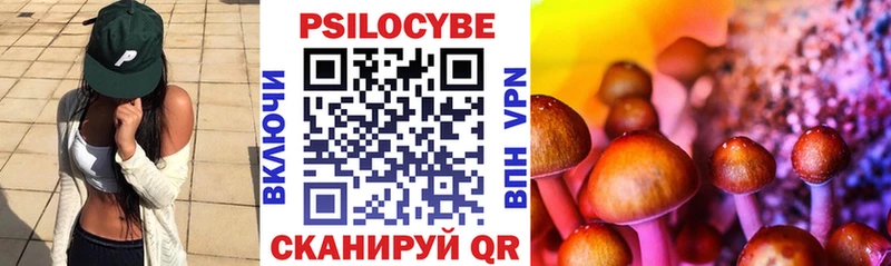купить наркотики цена Сорск Псилоцибиновые грибы Cubensis